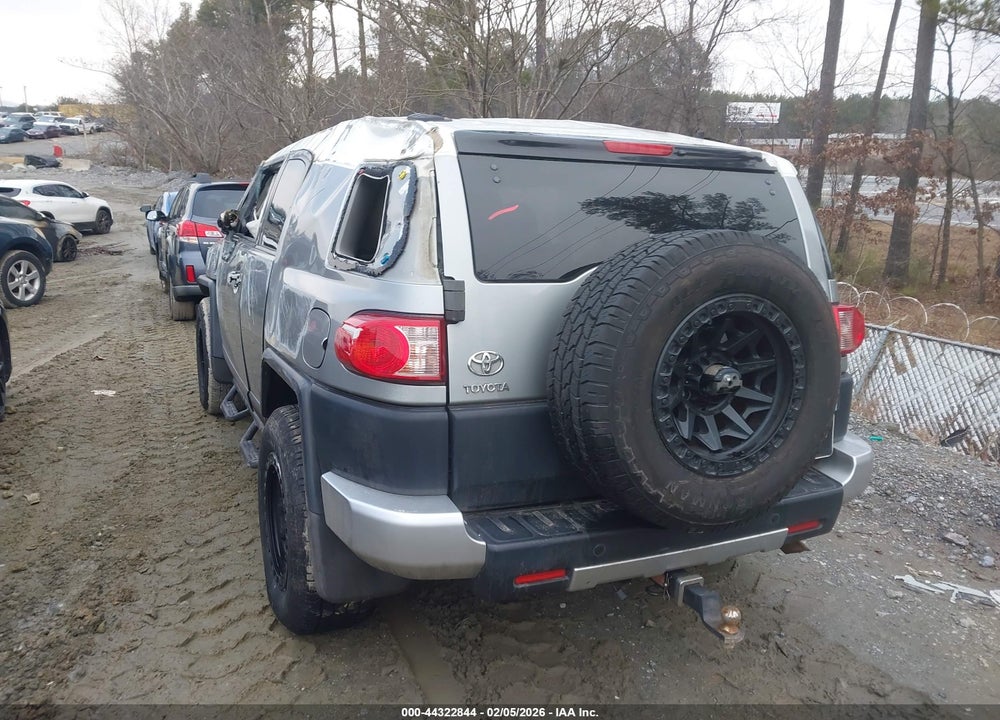 2010 TOYOTA FJ CRUISER VIN: JTEZU4BF5AK010206
