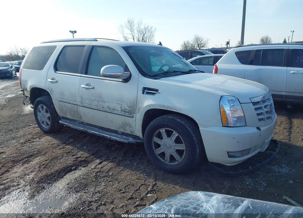 2007 CADILLAC ESCALADE STANDARD VIN: 1GYFK63817R288006