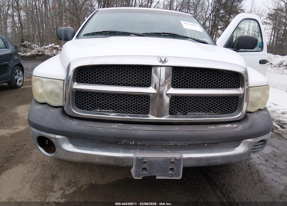 2002 DODGE RAM 1500 ST VIN: 1D7HA16K02J243843