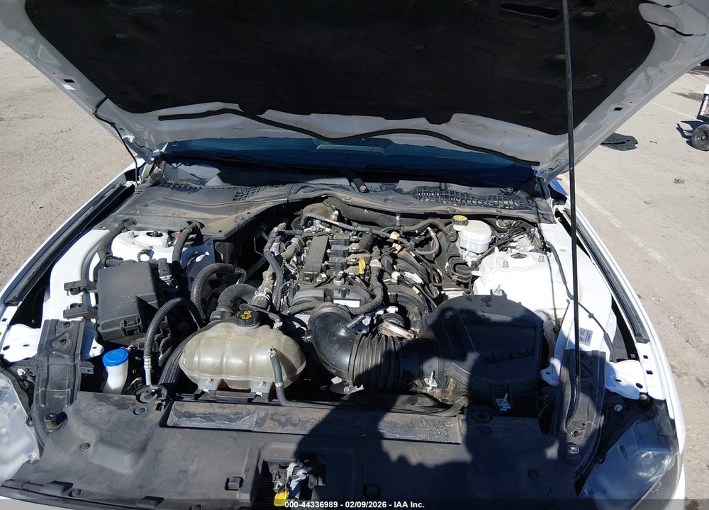 2021 FORD MUSTANG ECOBOOST FASTBACK VIN: 1FA6P8TH1M5109202