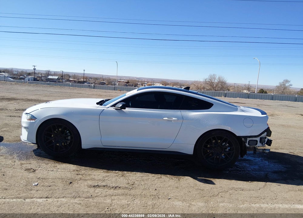 2021 FORD MUSTANG ECOBOOST FASTBACK VIN: 1FA6P8TH1M5109202