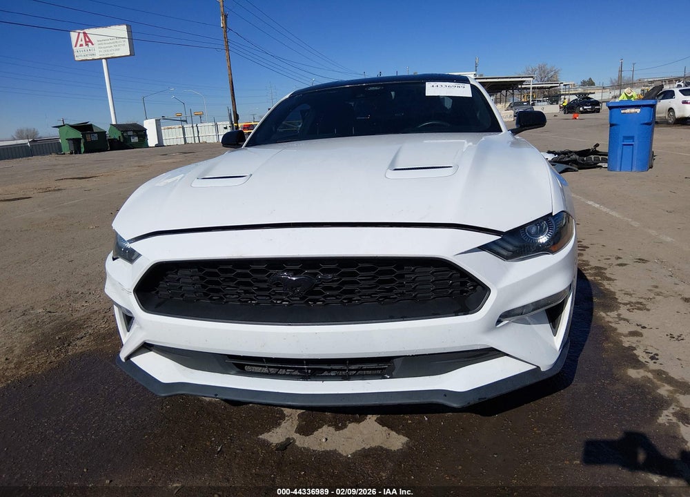 2021 FORD MUSTANG ECOBOOST FASTBACK VIN: 1FA6P8TH1M5109202