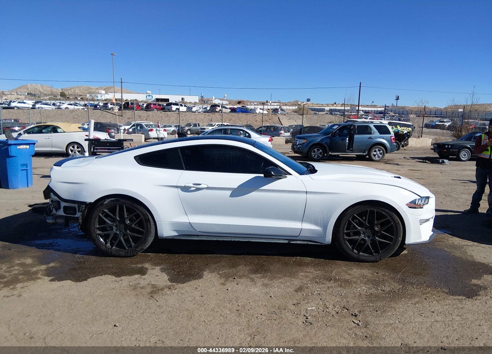 2021 FORD MUSTANG ECOBOOST FASTBACK VIN: 1FA6P8TH1M5109202