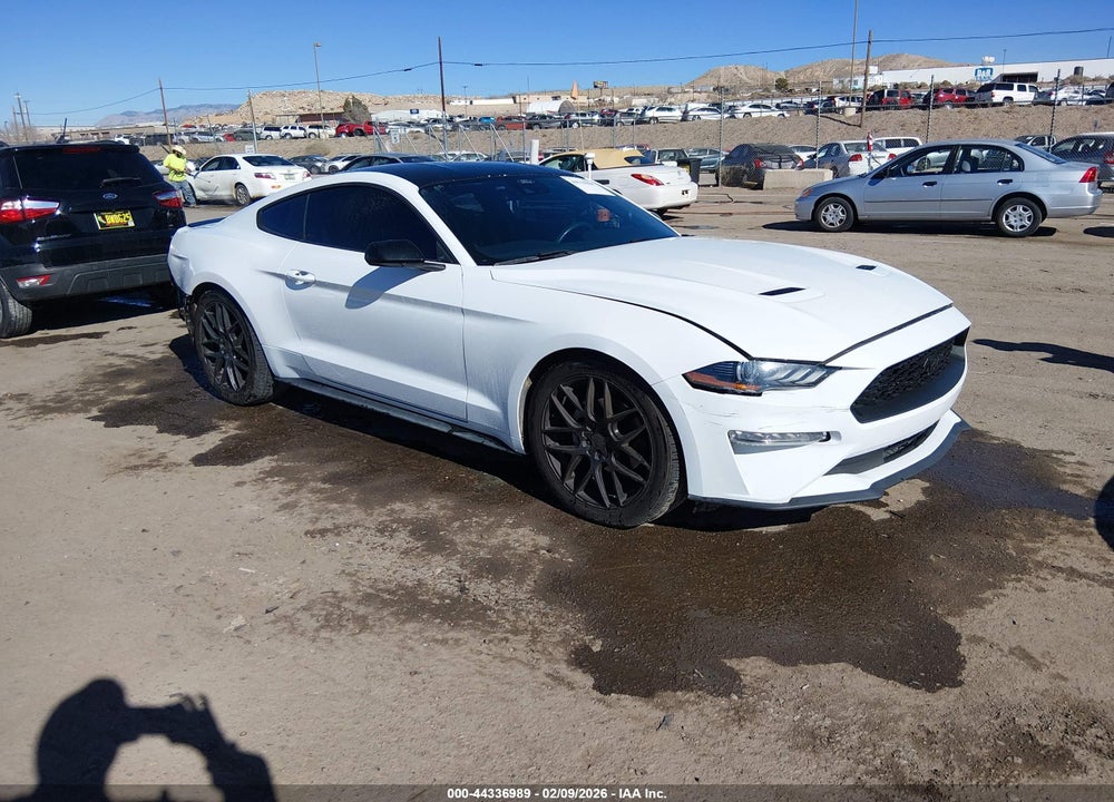 2021 FORD MUSTANG ECOBOOST FASTBACK VIN: 1FA6P8TH1M5109202