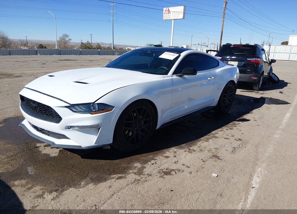 2021 FORD MUSTANG ECOBOOST FASTBACK VIN: 1FA6P8TH1M5109202