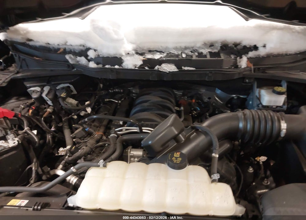 2024 FORD F-150 XL VIN: 1FTFX1L53RKD33328