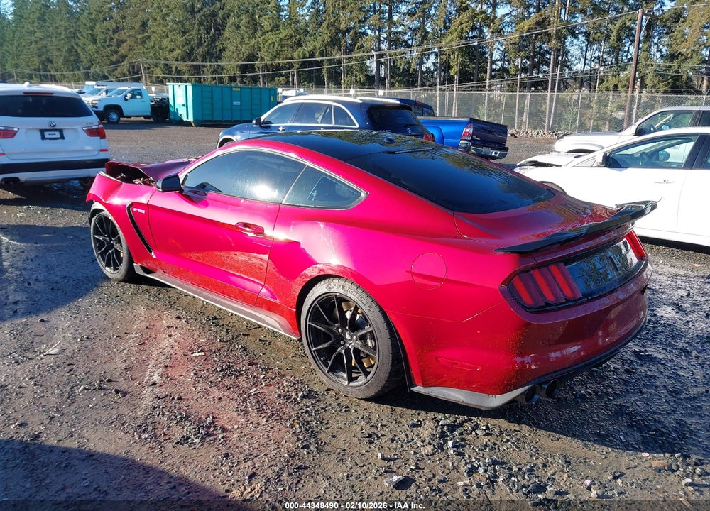 2019 FORD MUSTANG SHELBY GT350 FASTBACK VIN: 1FA6P8JZ8K5550009