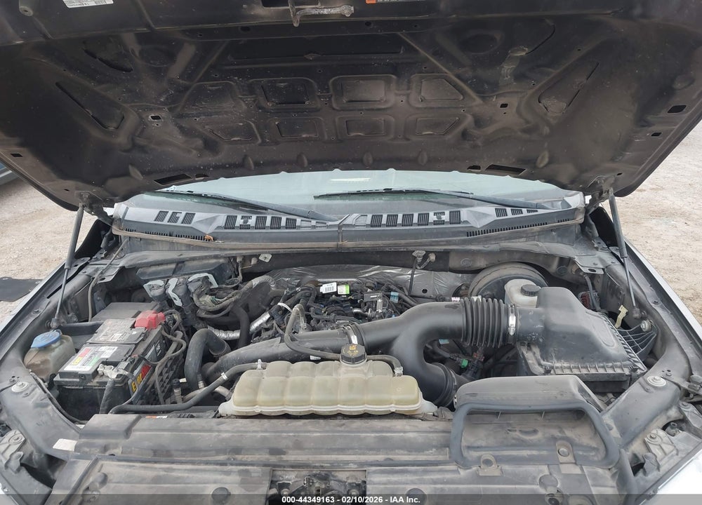 2019 FORD F-150 XL VIN: 1FTEW1CP6KKD89351