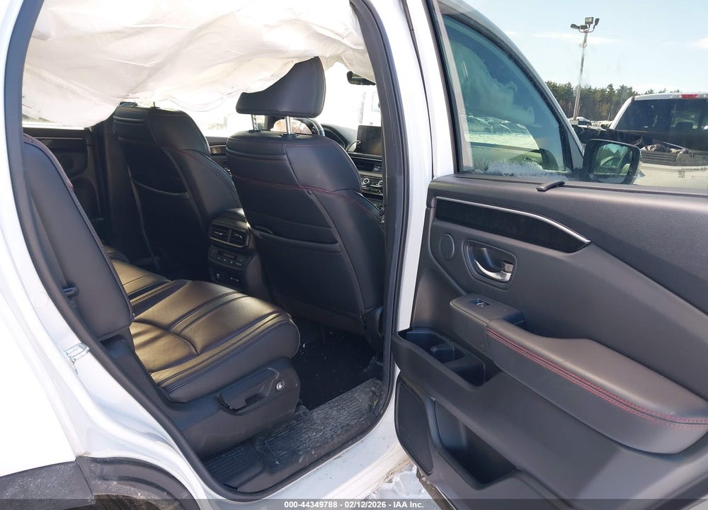 2025 HONDA PILOT BLACK EDITION VIN: 5FNYG1H99SB028410