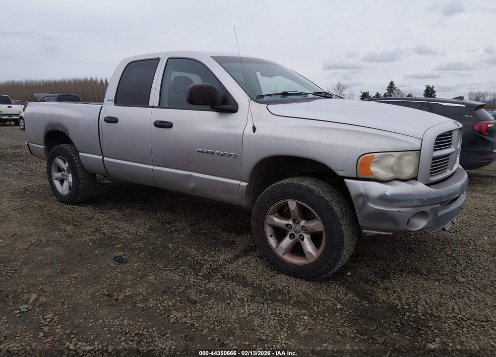 2002 DODGE RAM 1500 ST VIN: 3D7HU18Z82G193843