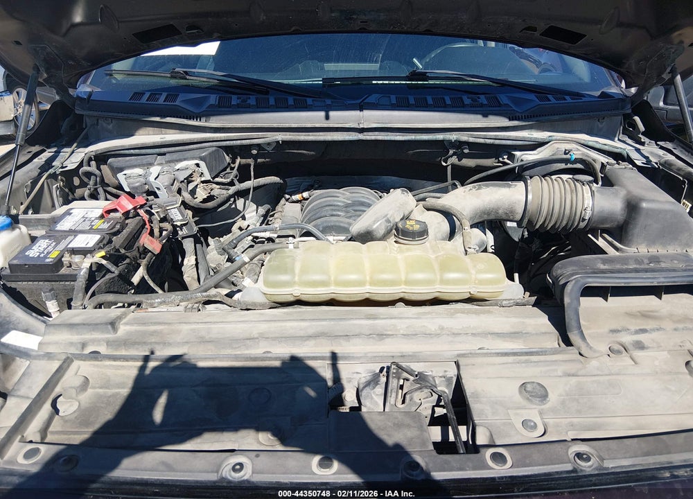 2019 FORD F-150 XL VIN: 1FTEW1E51KKF31732