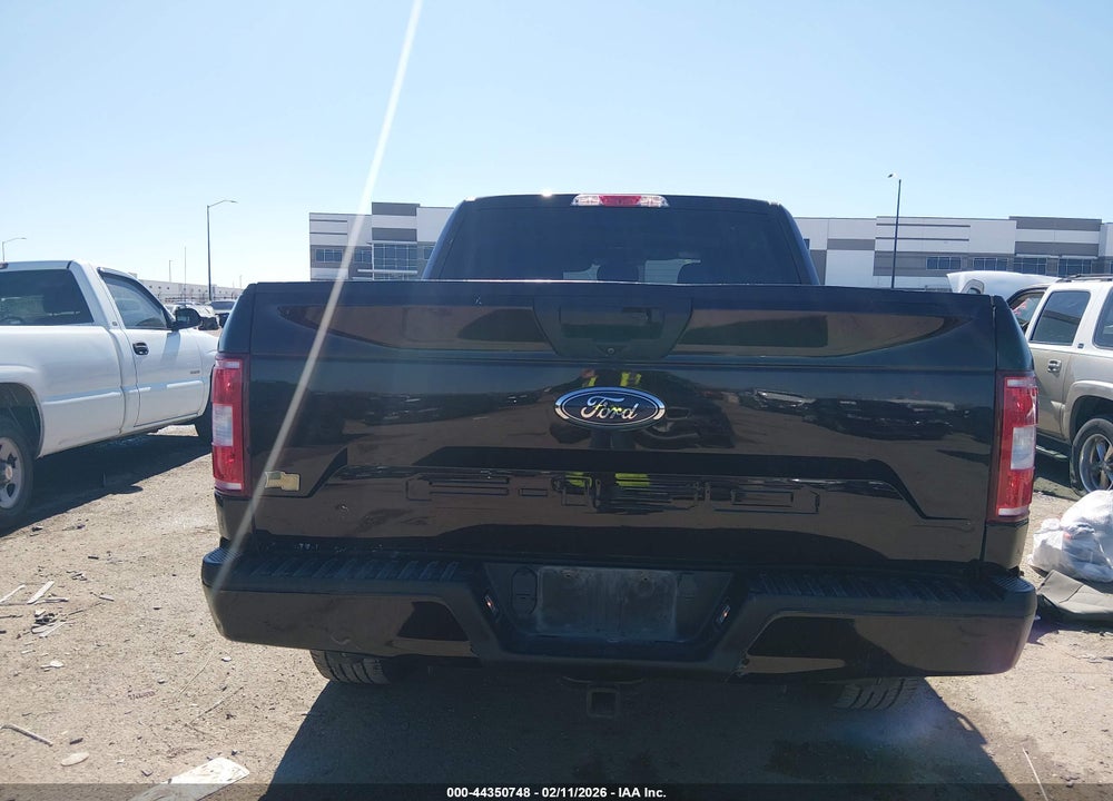 2019 FORD F-150 XL VIN: 1FTEW1E51KKF31732