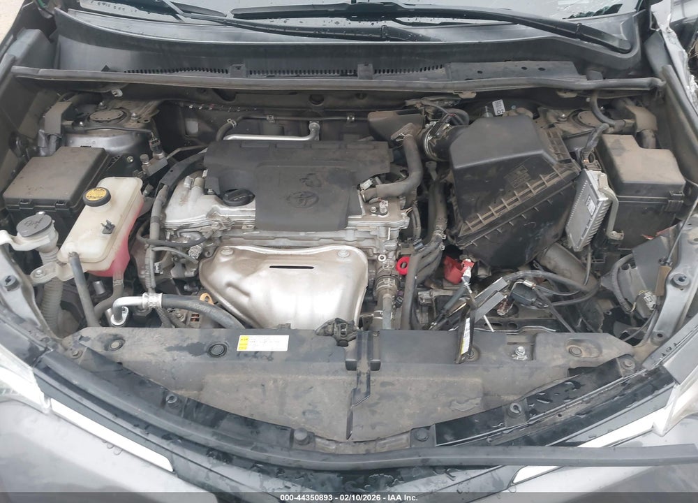 2018 TOYOTA RAV4 XLE VIN: 2T3WFREV9JW484491