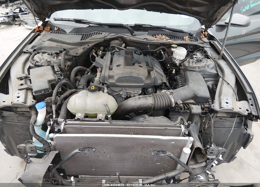 2020 FORD MUSTANG ECOBOOST FASTBACK VIN: 1FA6P8TH4L5129992