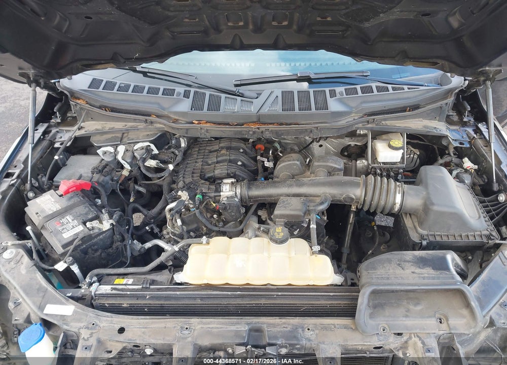 2021 FORD F-150 XL VIN: 1FTEX1CBXMKD91396