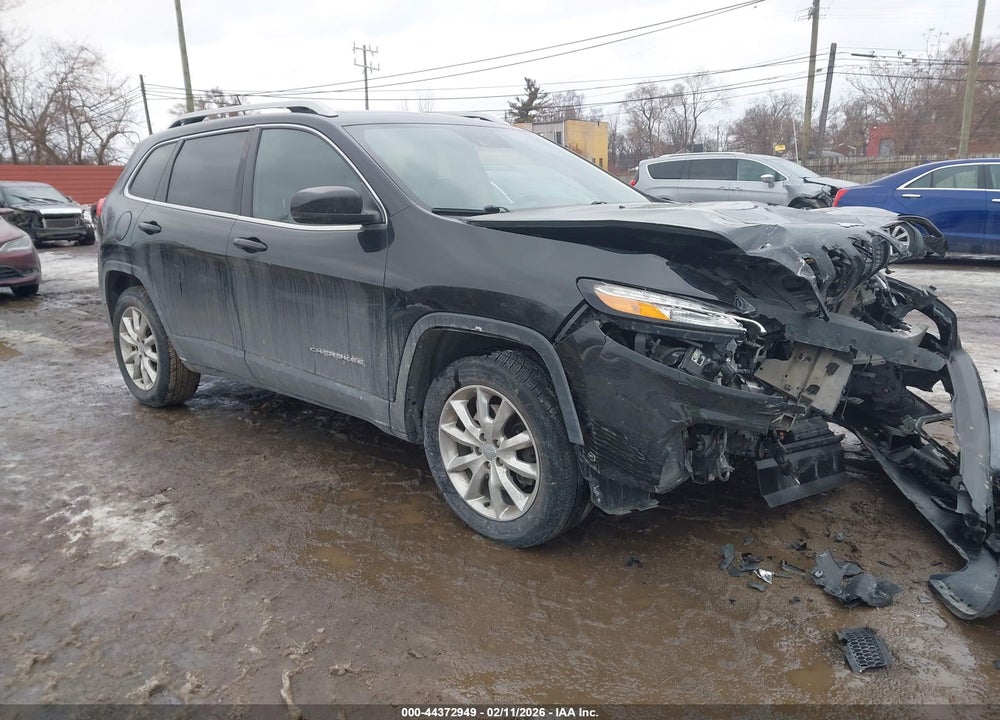 2014 JEEP CHEROKEE LIMITED VIN: 1C4PJMDS1EW166031