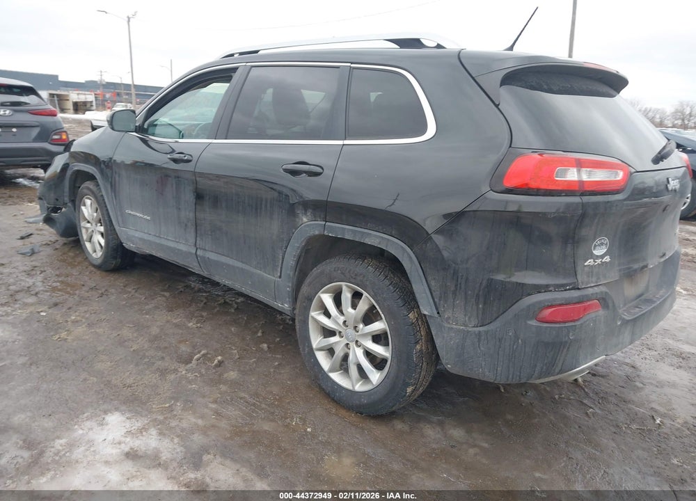 2014 JEEP CHEROKEE LIMITED VIN: 1C4PJMDS1EW166031