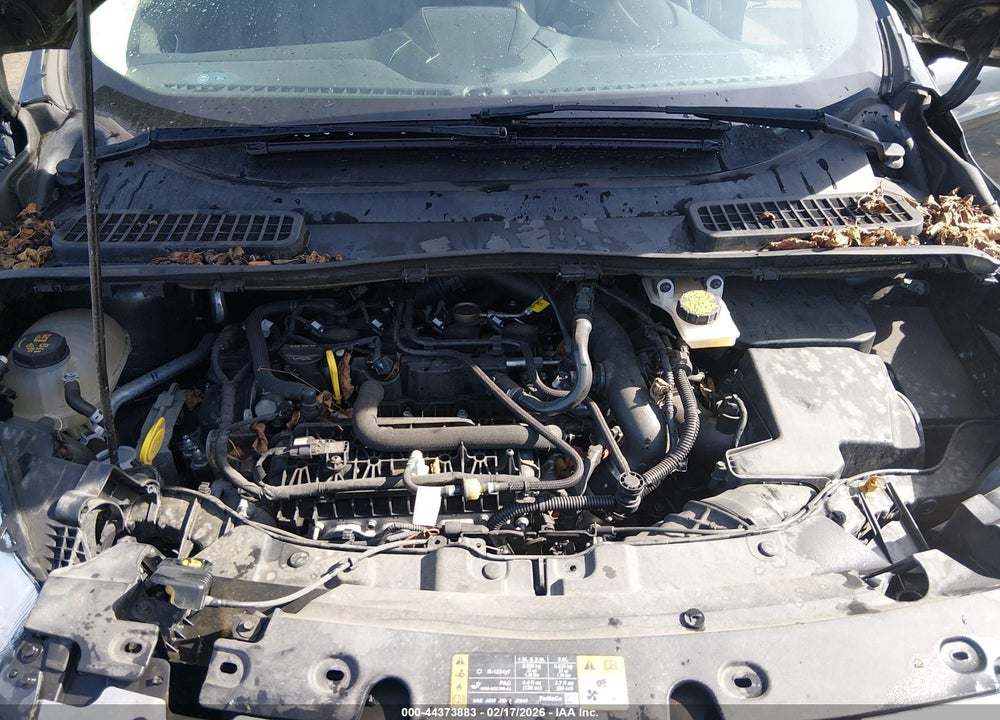 2019 FORD ESCAPE SE VIN: 1FMCU9GD0KUA96072