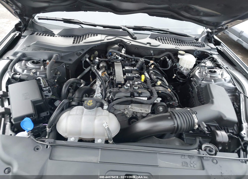 2023 FORD MUSTANG ECOBOOST FASTBACK VIN: 1FA6P8TH7P5112724