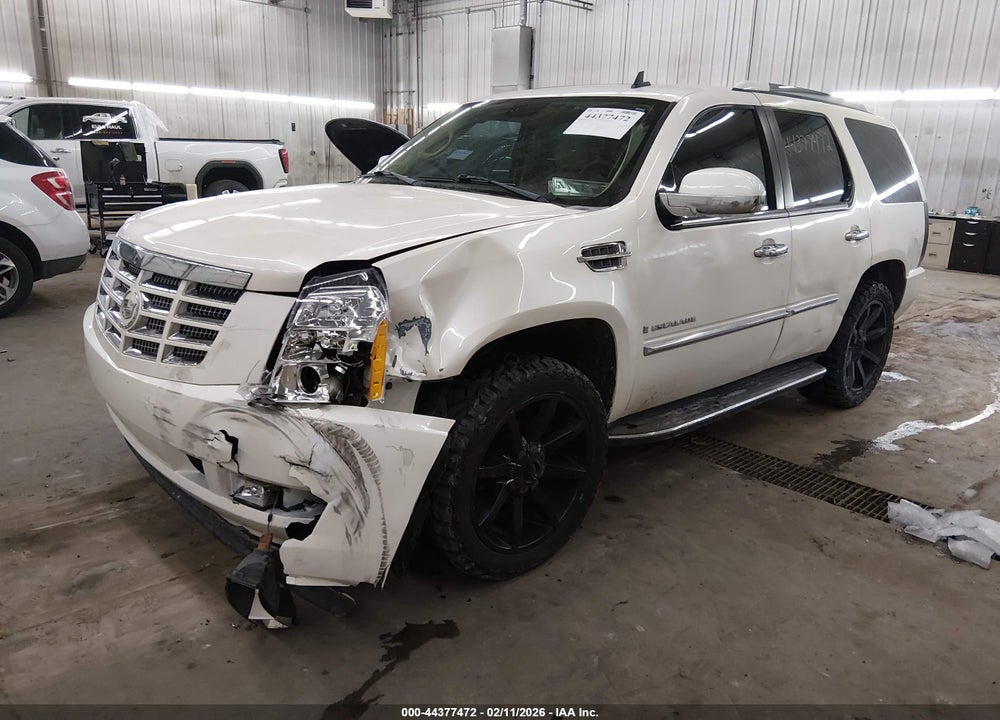 2007 CADILLAC ESCALADE STANDARD VIN: 1GYFK63897R135518