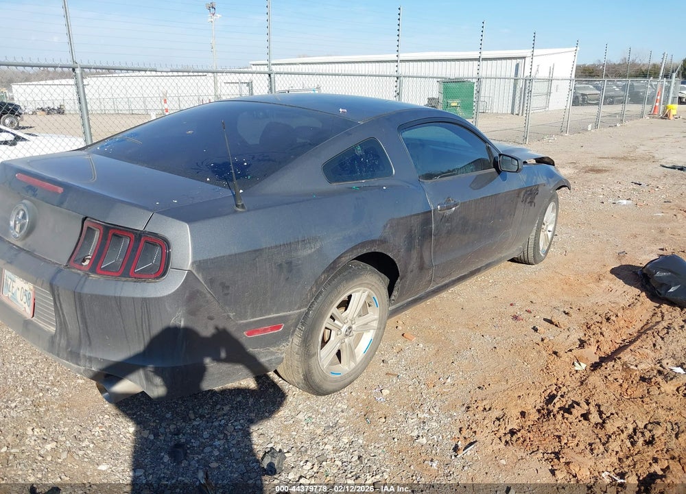 2013 FORD MUSTANG V6 VIN: 1ZVBP8AM1D5264337