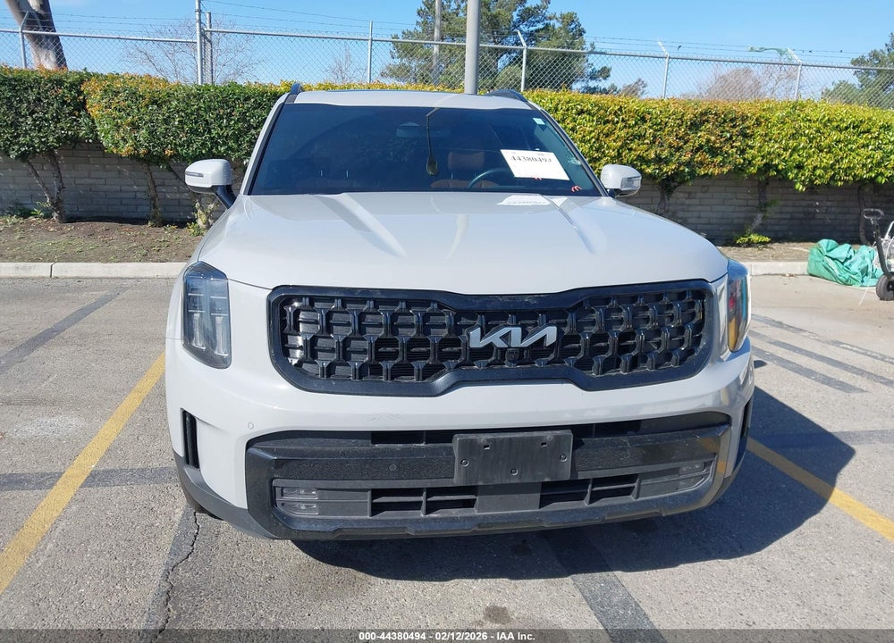 2024 KIA TELLURIDE SX X-LINE VIN: 5XYP5DGC0RG489238
