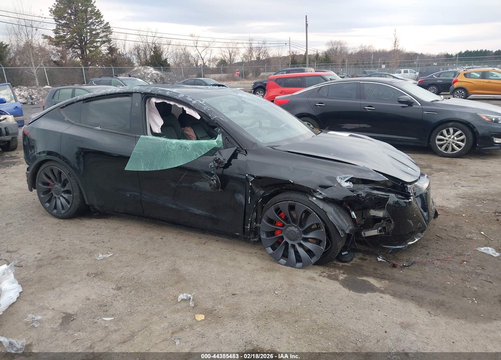 2024 TESLA MODEL Y PERFORMANCE DUAL MOTOR ALL-WHEEL DRIVE VIN: 7SAYGDEF6RA303642