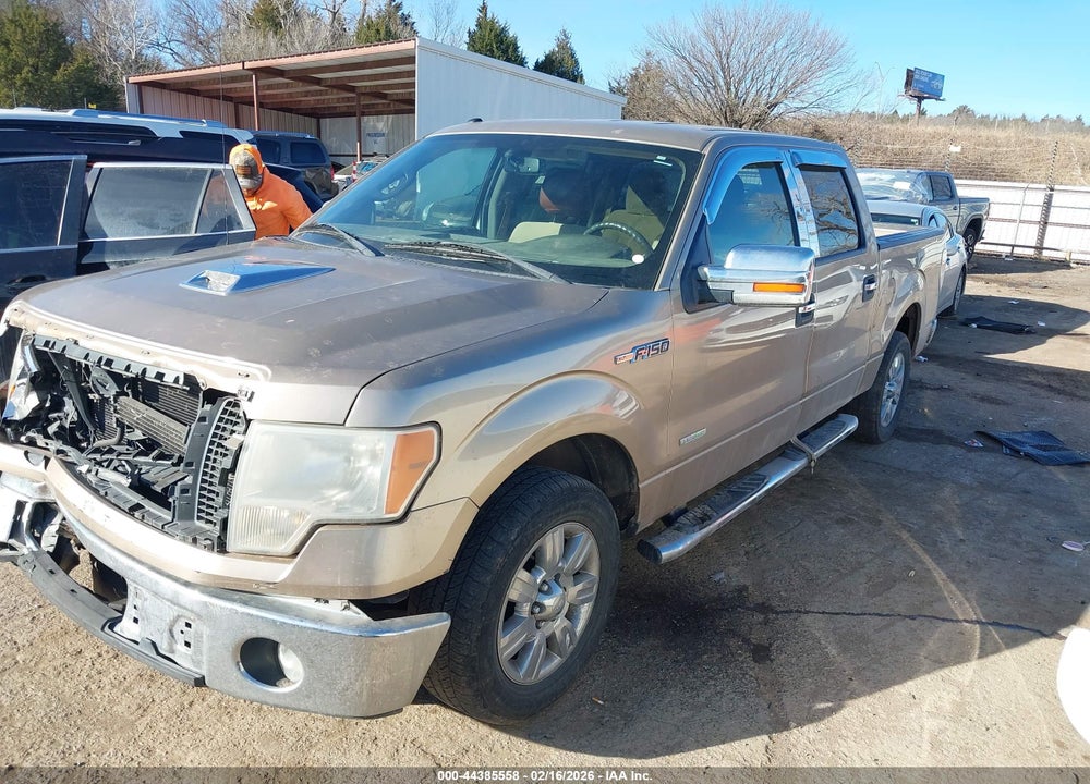 2011 FORD F-150 XLT VIN: 1FTFW1CT3BFB14479