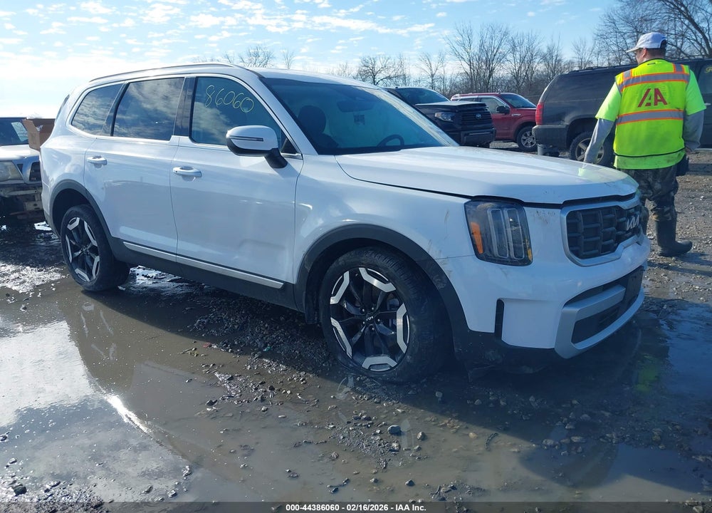 2025 KIA TELLURIDE S VIN: 5XYP6DGC2SG576738