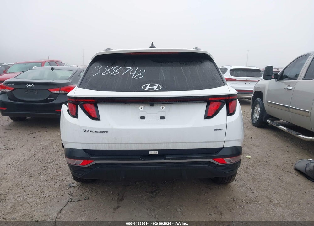 2024 HYUNDAI TUCSON SEL VIN: 5NMJBCDE5RH388748