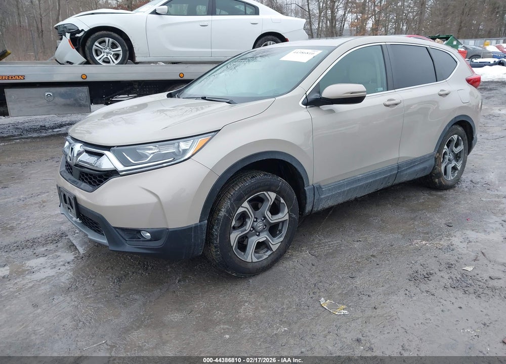 2019 HONDA CR-V EX VIN: 2HKRW2H57KH622201