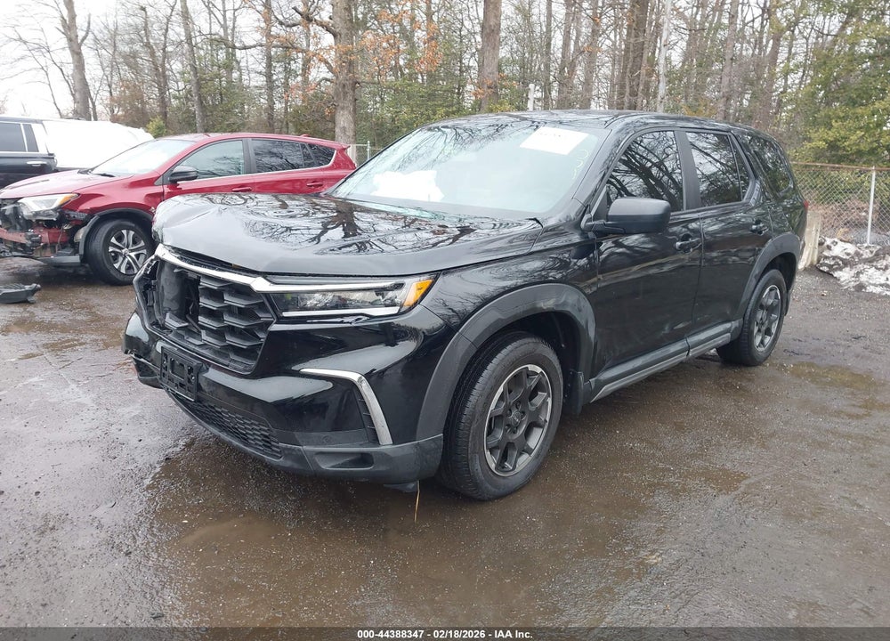 2023 HONDA PILOT AWD LX VIN: 5FNYG1H24PB021858
