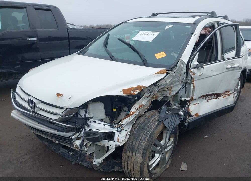 2010 HONDA CR-V EX-L VIN: 5J6RE4H79AL101744