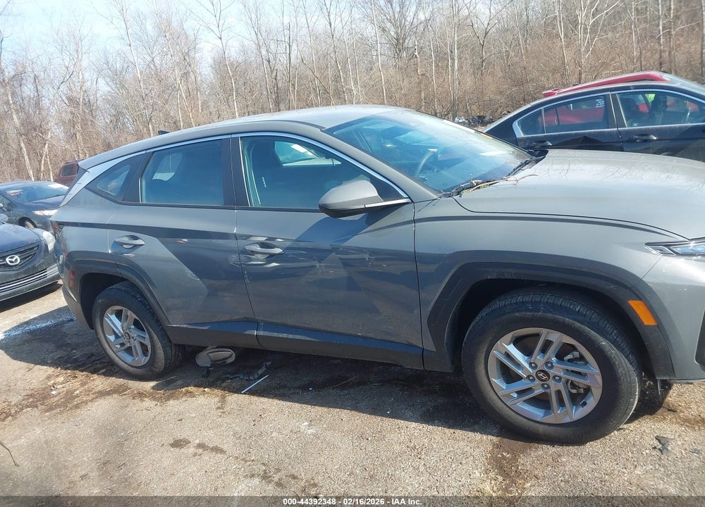 2025 HYUNDAI TUCSON SE VIN: 5NMJACDEXSH493813