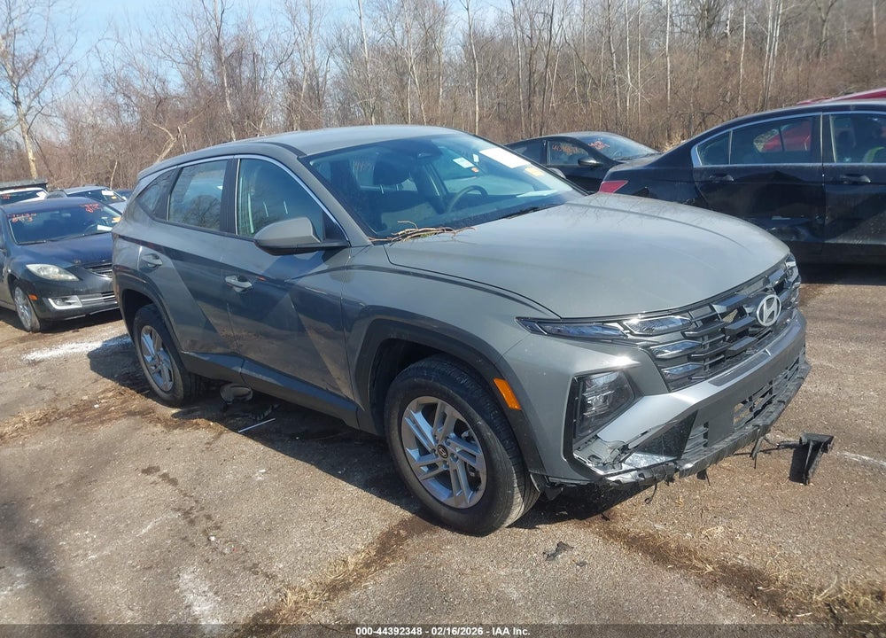 2025 HYUNDAI TUCSON SE VIN: 5NMJACDEXSH493813