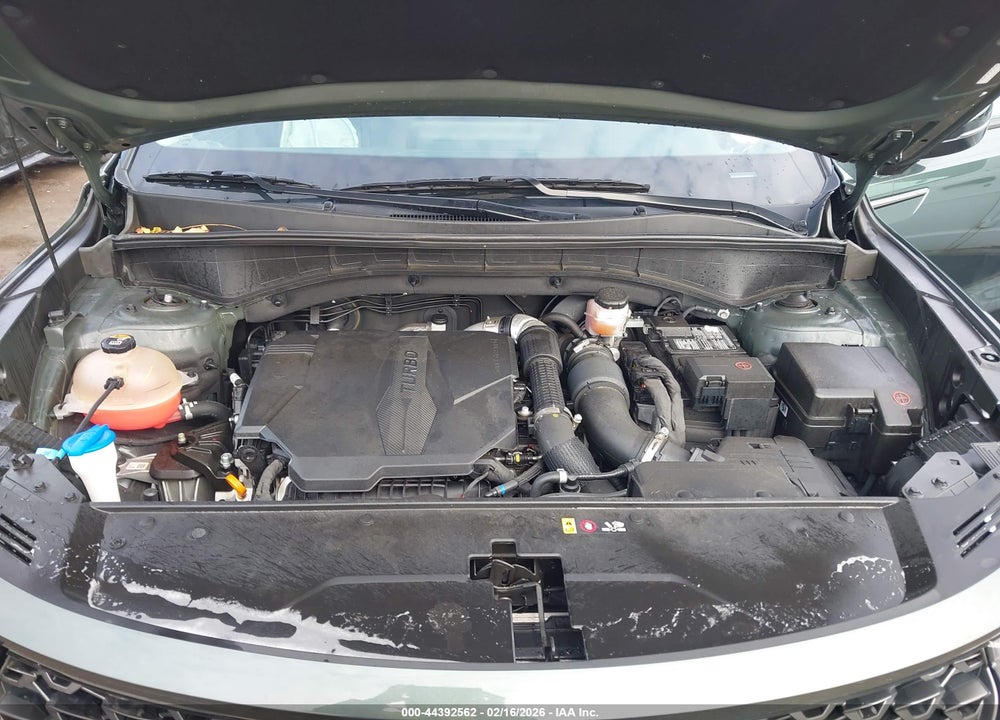 2023 KIA SORENTO X-LINE EX VIN: 5XYRHDLF2PG185051