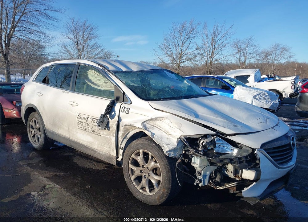 2014 MAZDA CX-9 SPORT VIN: JM3TB3BV8E0437017