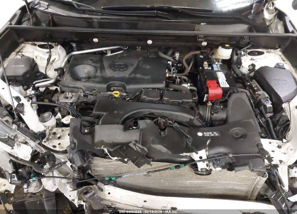 2019 TOYOTA RAV4 XLE PREMIUM VIN: JTMA1RFV3KJ024525