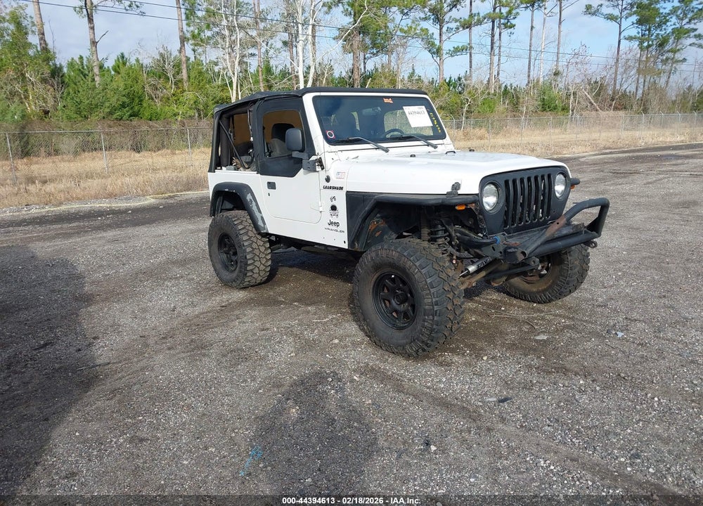 2004 JEEP WRANGLER SE VIN: 1J4FA29164P741081
