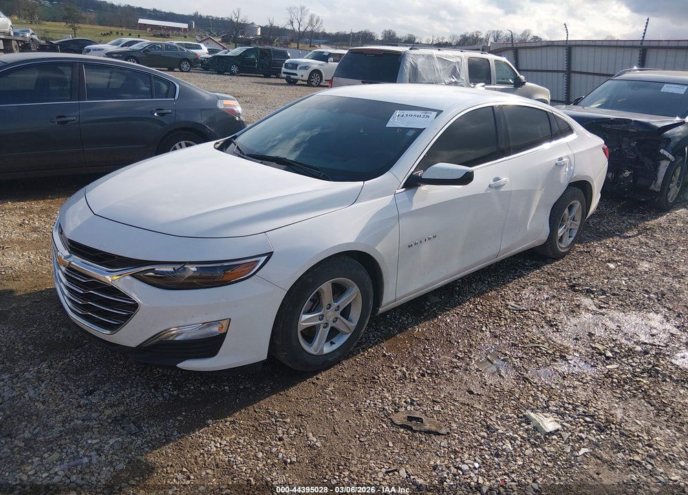 2024 CHEVROLET MALIBU FWD 1FL VIN: 1G1ZC5ST8RF175800