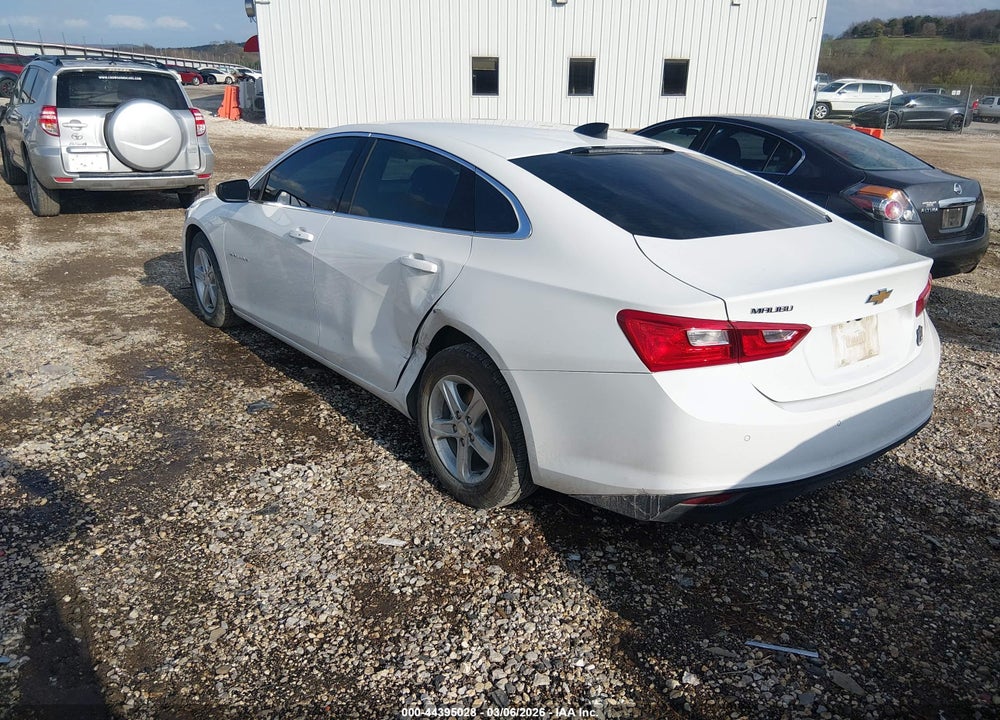 2024 CHEVROLET MALIBU FWD 1FL VIN: 1G1ZC5ST8RF175800