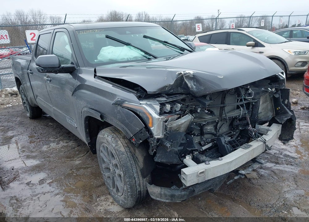 2025 TOYOTA TUNDRA PLATINUM VIN: 5TFNA5EC6SX039558