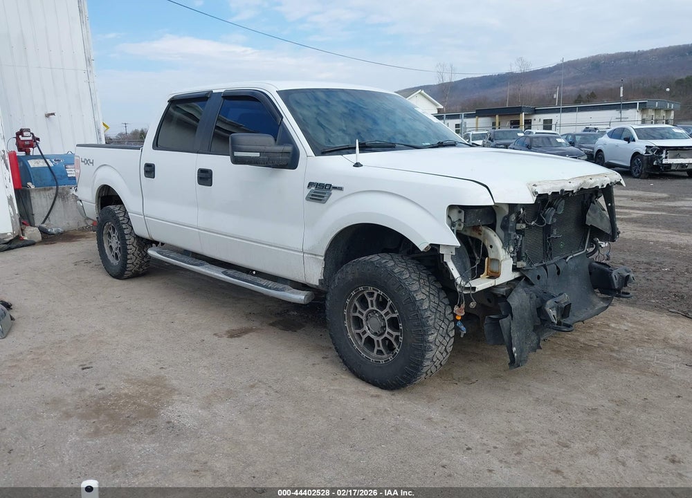 2011 FORD F-150 XLT VIN: 1FTFW1EF3BFB46212