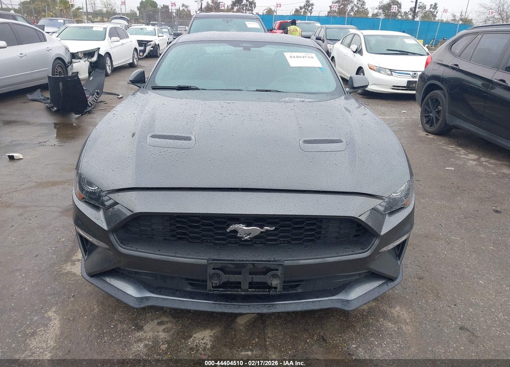 2019 FORD MUSTANG ECOBOOST VIN: 1FA6P8TH3K5175473