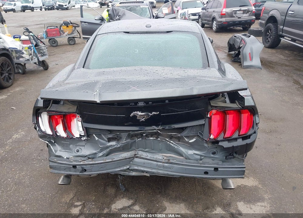2019 FORD MUSTANG ECOBOOST VIN: 1FA6P8TH3K5175473