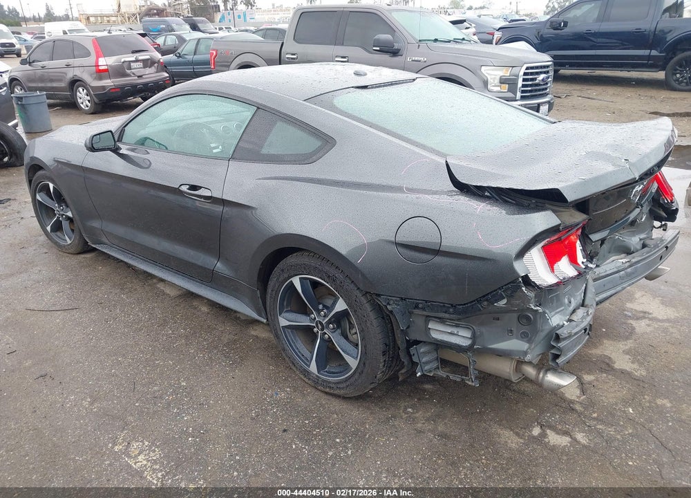 2019 FORD MUSTANG ECOBOOST VIN: 1FA6P8TH3K5175473