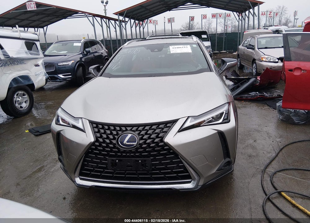 2019 LEXUS UX 250H LUXURY VIN: JTHU9JBH9K2016719