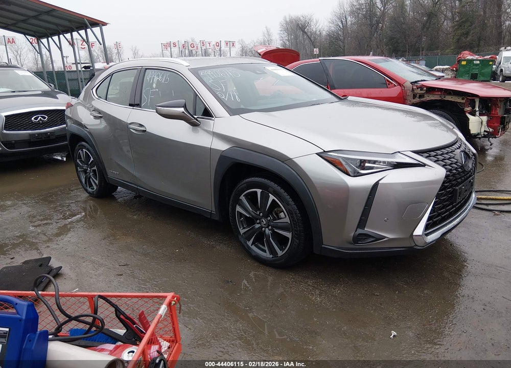 2019 LEXUS UX 250H LUXURY VIN: JTHU9JBH9K2016719