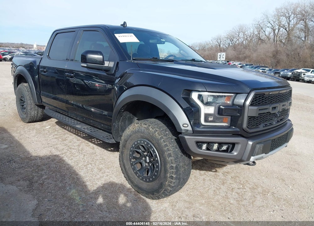 2019 FORD F-150 RAPTOR VIN: 1FTFW1RG0KFC45900