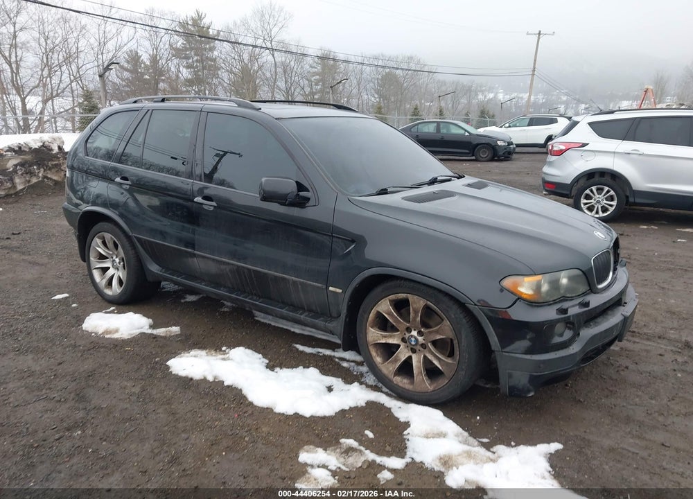 2006 BMW X5 4.8IS VIN: 5UXFA93566LE84820